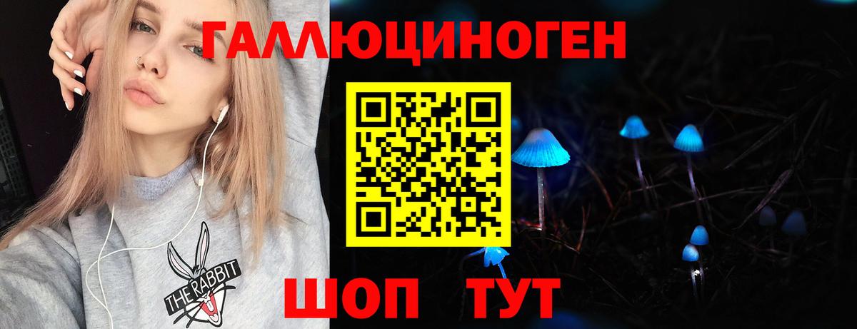 Каменск-Шахтинский  Псилоцибиновые грибы Psilocybine cubensis  Псилоцибиновые грибы Psilocybine cubensis  Вход с VPN 